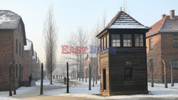 72. rocznica wyzwolenia obozu koncentracyjnego Auschwitz