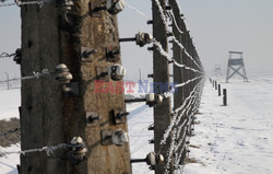 72. rocznica wyzwolenia obozu koncentracyjnego Auschwitz