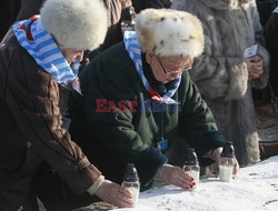 72. rocznica wyzwolenia obozu koncentracyjnego Auschwitz