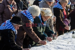 72. rocznica wyzwolenia obozu koncentracyjnego Auschwitz