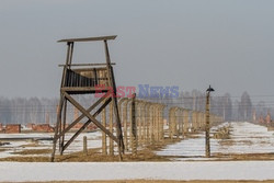 72. rocznica wyzwolenia obozu koncentracyjnego Auschwitz