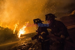 Pożary w Chile  - Luz Photo