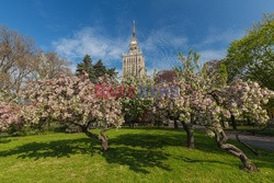 Warszawa Arkadiusz Ziółek