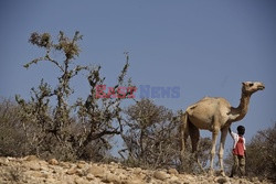 Katastrofalna susza w Somalii - Eyevine