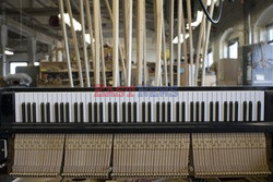 Odrestaurowywanie pianin Steinway & Sons - Redux