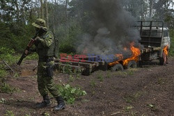 Służby kontrolujące nielegalny wyrąb puszczy w Brazylii - NYT