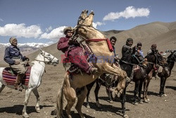 Gra Buzkashi w Afganistanie - Redux