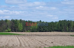 Podlasie Marek Bazak