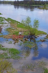 Podlasie Marek Bazak