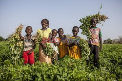 Produkcja żywności w Senegalu - Redux