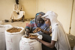 Produkcja żywności w Senegalu - Redux