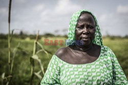 Produkcja żywności w Senegalu - Redux