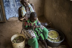 Produkcja żywności w Senegalu - Redux