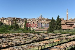 Palio di Siena - Eyevine