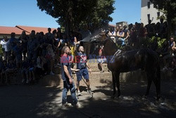 Palio di Siena - Eyevine