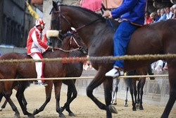 Palio di Siena - Eyevine