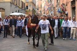 Palio di Siena - Eyevine