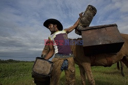 Kowboje z Mato Grosso - AFP