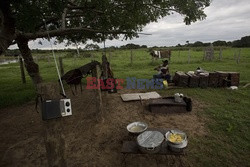 Kowboje z Mato Grosso - AFP