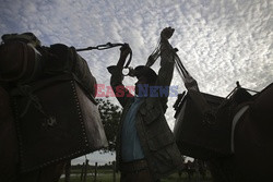 Kowboje z Mato Grosso - AFP