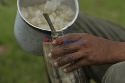 Kowboje z Mato Grosso - AFP