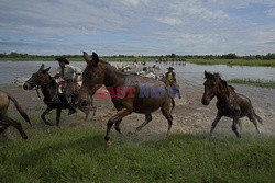 Kowboje z Mato Grosso - AFP