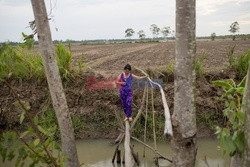 Susza w delcie Mekongu