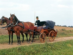 Polska StJa