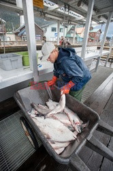 UIG Diverse Sep 2017