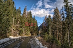 Polskie Tatry Albin Marciniak