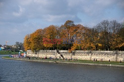 Kraków Albin Marciniak