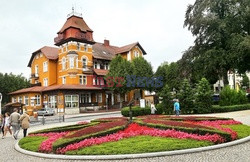 Dolny Śląsk Monk