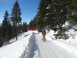 Beskidy Albin Marciniak