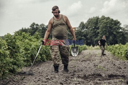 Poszukiwacze starych militariów w Polsce - Eyevine