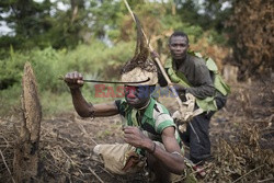 Kongo - Hollande Hoogte