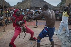 Kongo - Hollande Hoogte