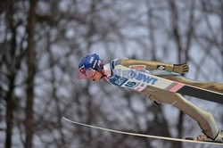 FIS Ski Jumping World Cup Wisla 2017