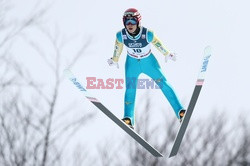 FIS Ski Jumping World Cup Wisla 2017