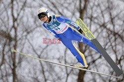 FIS Ski Jumping World Cup Wisla 2017