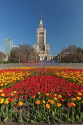 Warszawa Arkadiusz Ziółek