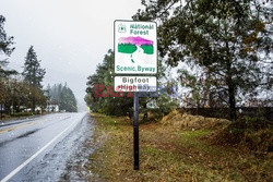 Zjazd fanów Wielkiej Stopy - Redux