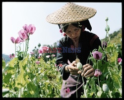 Historie znad Mekongu - Vu Images