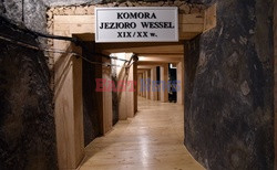 Komora "Jezioro Weissel " w Uzdrowisku Kopalnia Soli " Wieliczka "