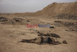 Irak walczy z ISIS - Vu Images