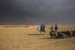 Irak walczy z ISIS - Vu Images