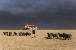 Irak walczy z ISIS - Vu Images