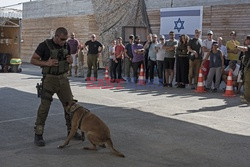 Izrael - Zachodni Brzeg - antyterrorystyczne ćwiczenia dla turystów - Noor Images