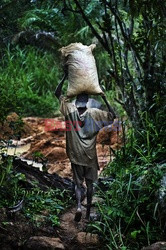 Sierra Leone - kopalnie diamentów - Noor Images