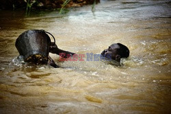 Sierra Leone - kopalnie diamentów - Noor Images