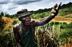 Sierra Leone - kopalnie diamentów - Noor Images